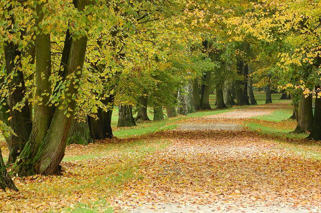 park v Českých Budějovicích